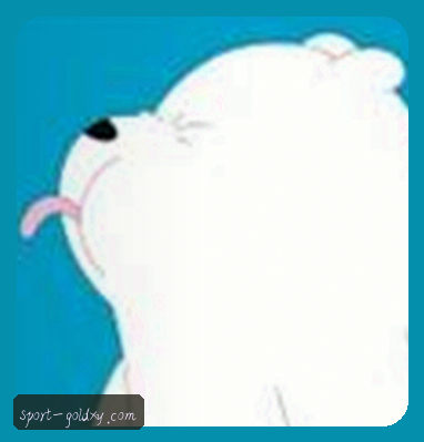 郑强
